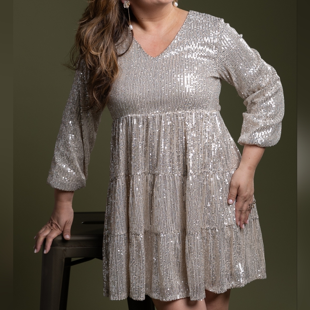 Cable & Gauge Silver Sequin Long Sleeve Dress